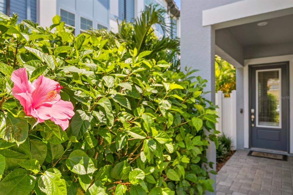 合同活跃: $5,000 (3 贝兹, 2 浴室, 2503 平方英尺)