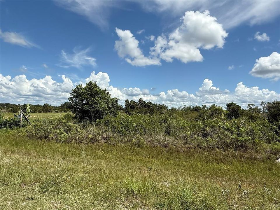 Recently Sold: $24,900 (1.25 acres)