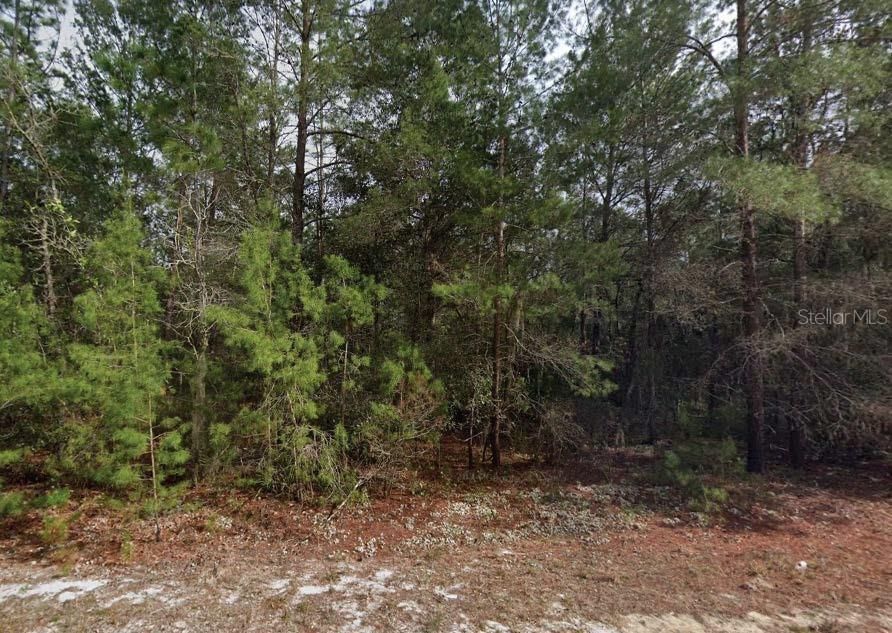 For Sale: $14,500 (0.22 acres)