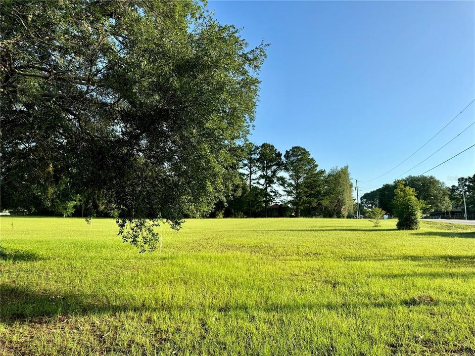 For Sale: $64,900 (1.13 acres)