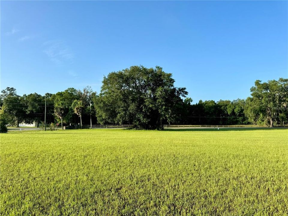 For Sale: $64,900 (1.13 acres)