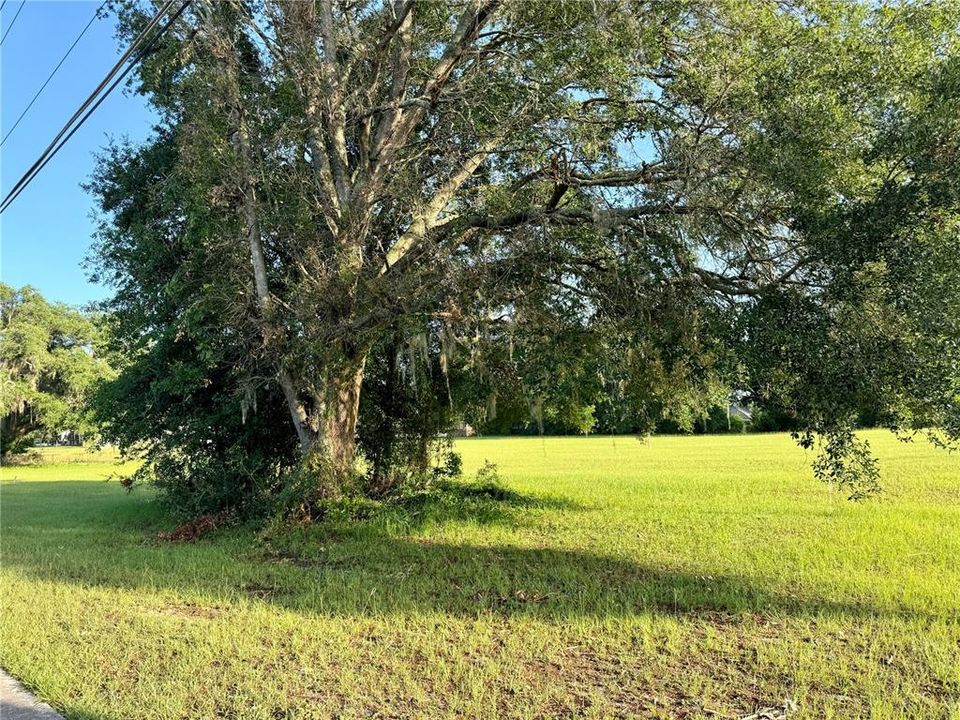 For Sale: $64,900 (1.13 acres)