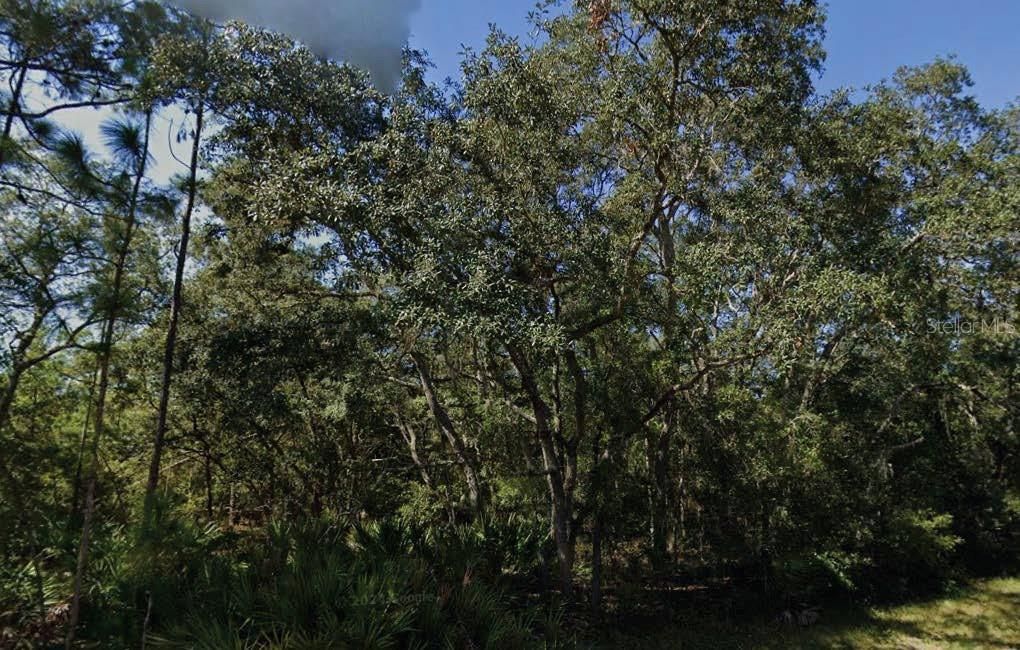 For Sale: $14,500 (0.22 acres)