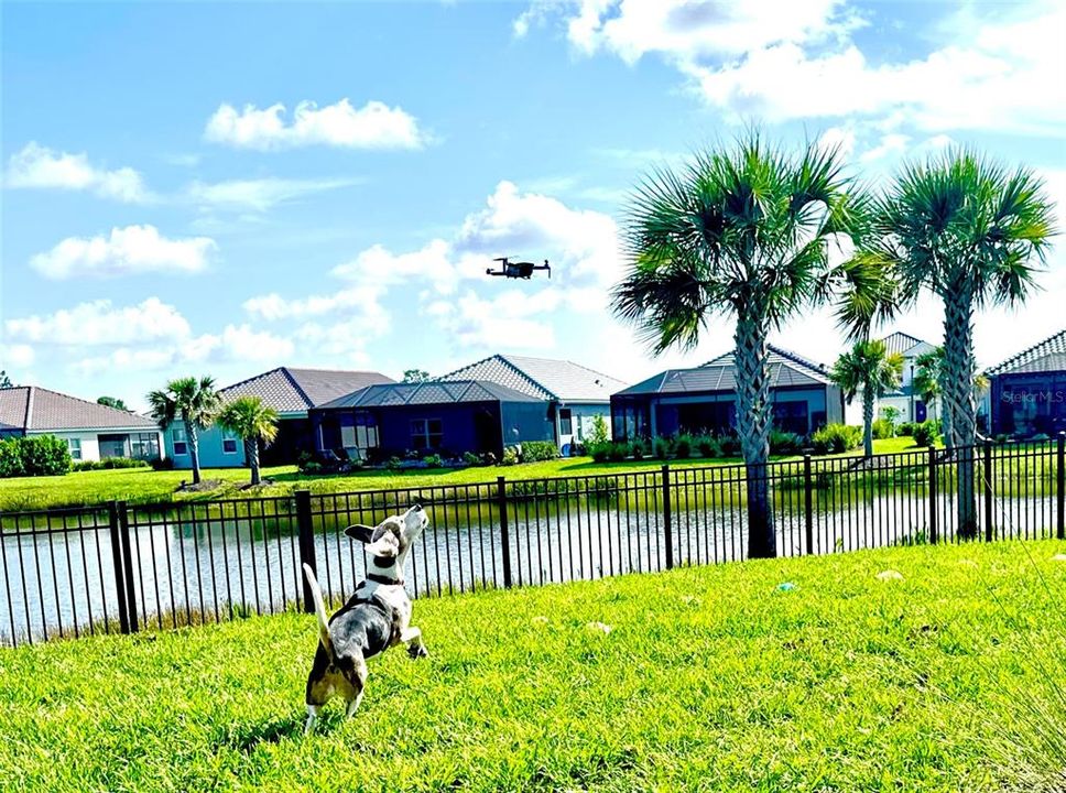 For Rent: $4,200 (4 beds, 2 baths, 3176 Square Feet)