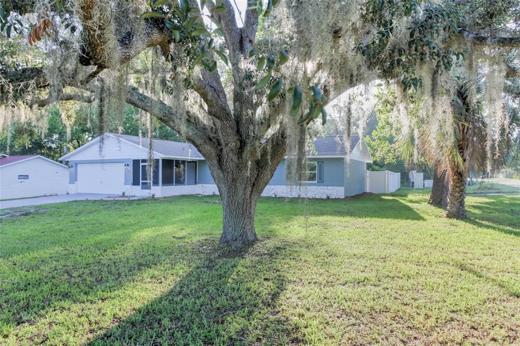 Active With Contract: $270,000 (3 beds, 2 baths, 1556 Square Feet)