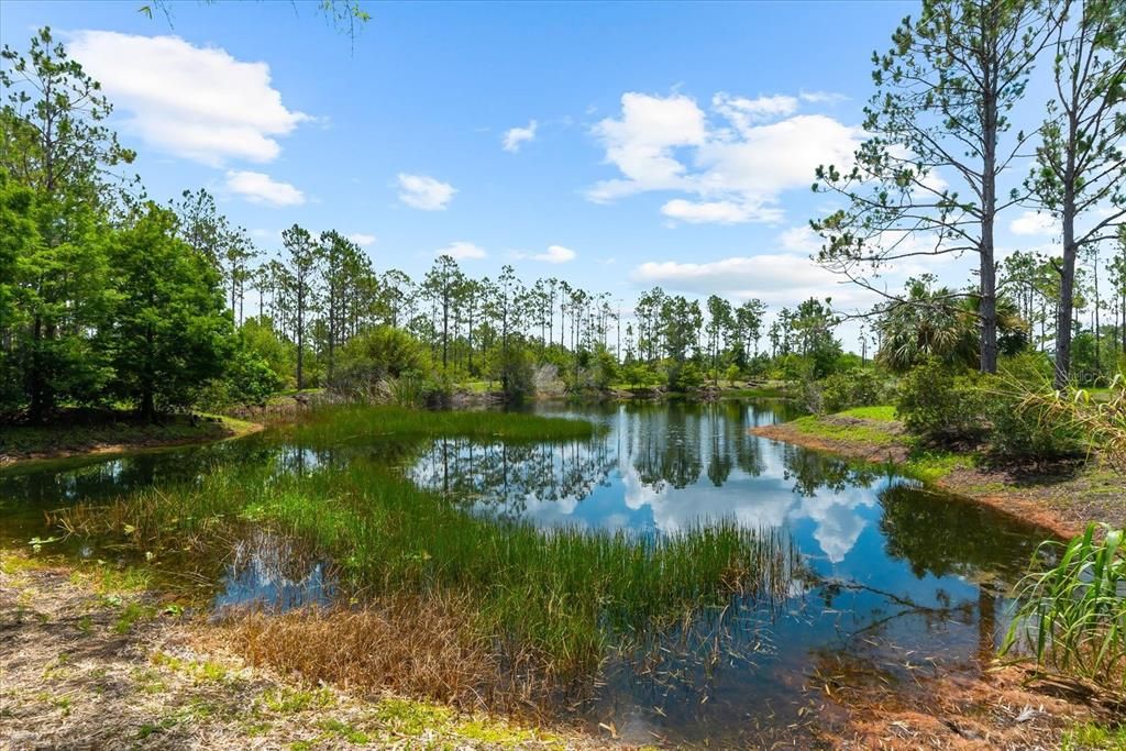 Под контрактом: $1,100,000 (3 спален, 2 ванн, 2582 Квадратных фут)