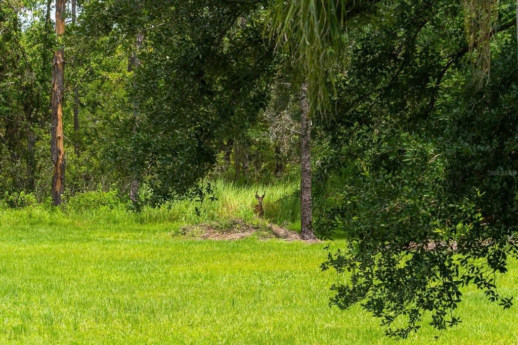 Под контрактом: $1,100,000 (3 спален, 2 ванн, 2582 Квадратных фут)