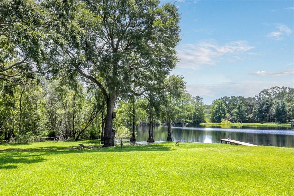 Recently Sold: $159,000 (1.26 acres)