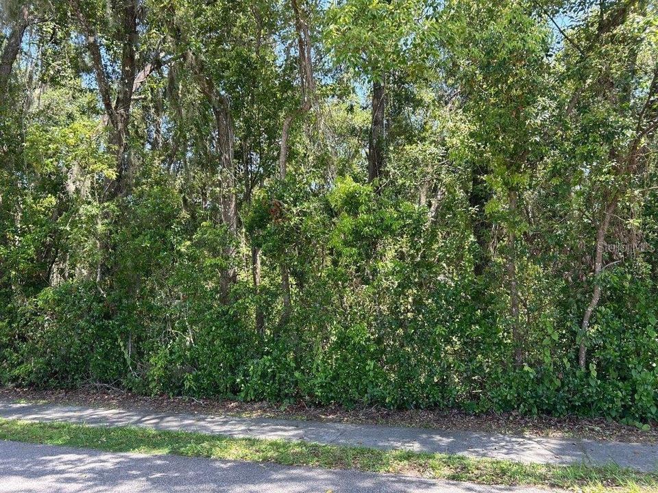 For Sale: $320,000 (0.43 acres)