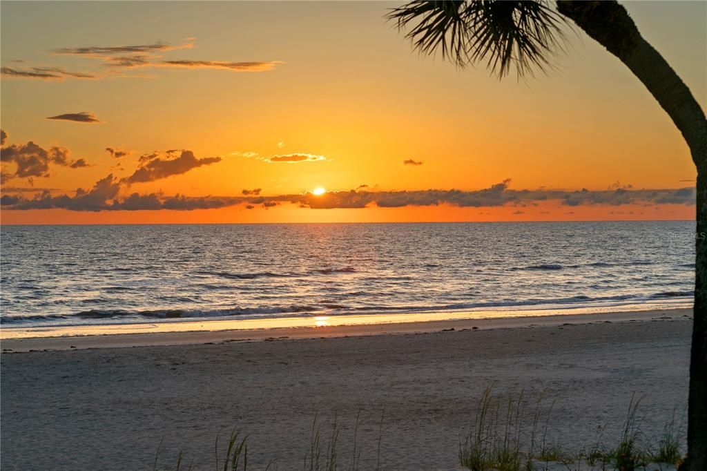 For Sale: $6,190,000 (4 beds, 3 baths, 3207 Square Feet)