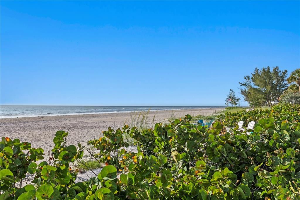 For Sale: $6,190,000 (4 beds, 3 baths, 3207 Square Feet)