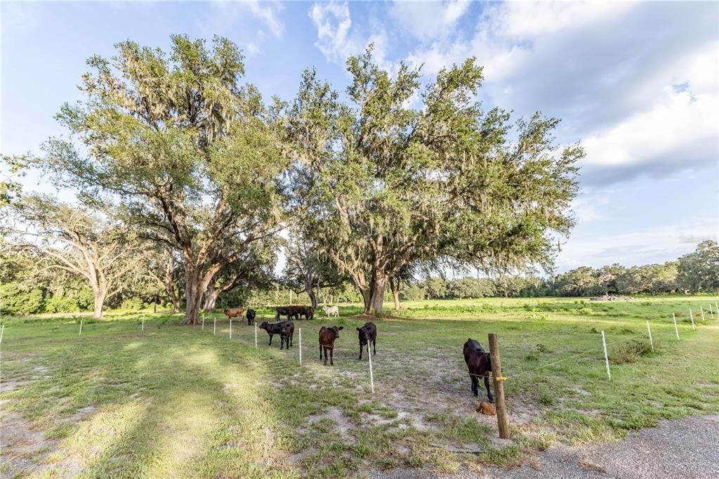 For Sale: $890,000 (15.00 acres)