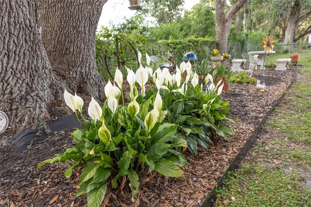 For Sale: $890,000 (15.00 acres)