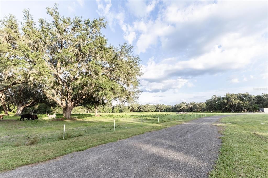 For Sale: $890,000 (15.00 acres)