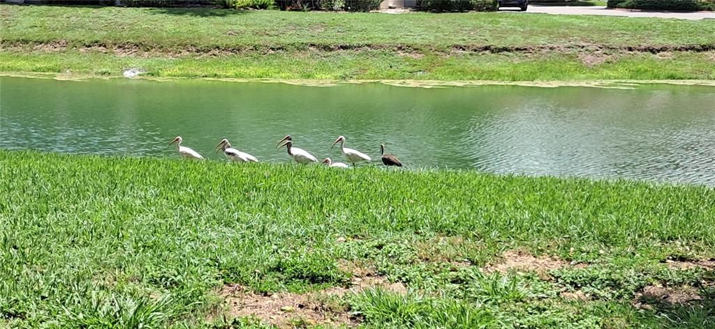 待售: $182,000 (2 贝兹, 2 浴室, 1280 平方英尺)