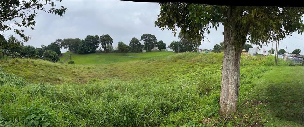 最近售出: $90,000 (1.24 acres)