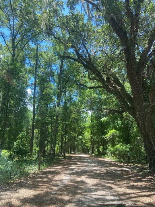 Recently Sold: $76,500 (6.37 acres)