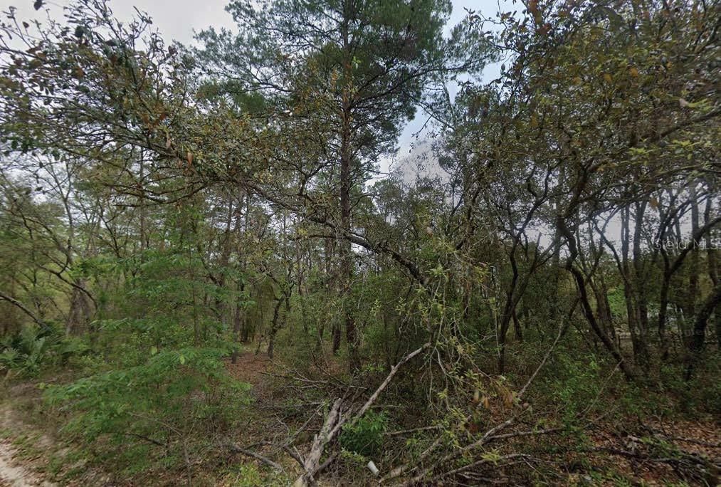 待售: $14,500 (0.23 acres)