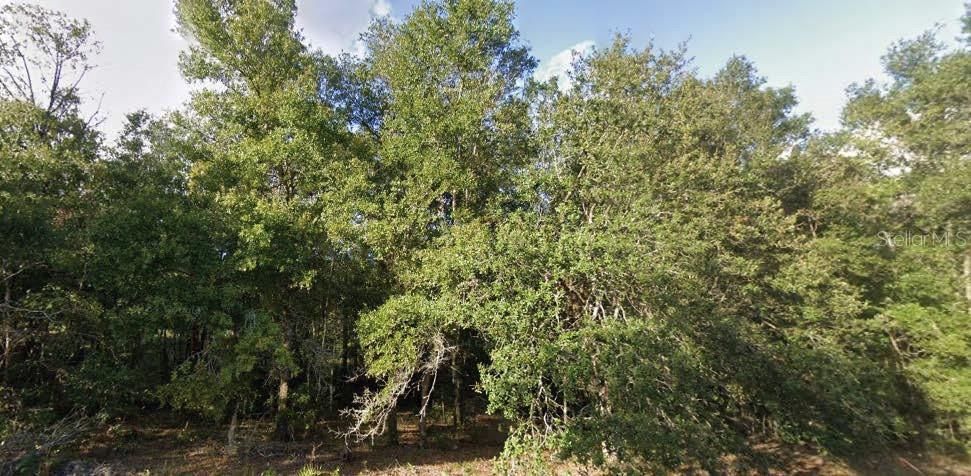 На продажу: $14,500 (0.23 acres)