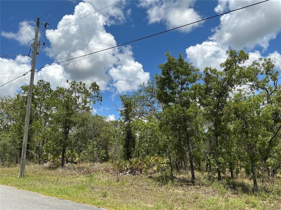 На продажу: $47,000 (0.46 acres)