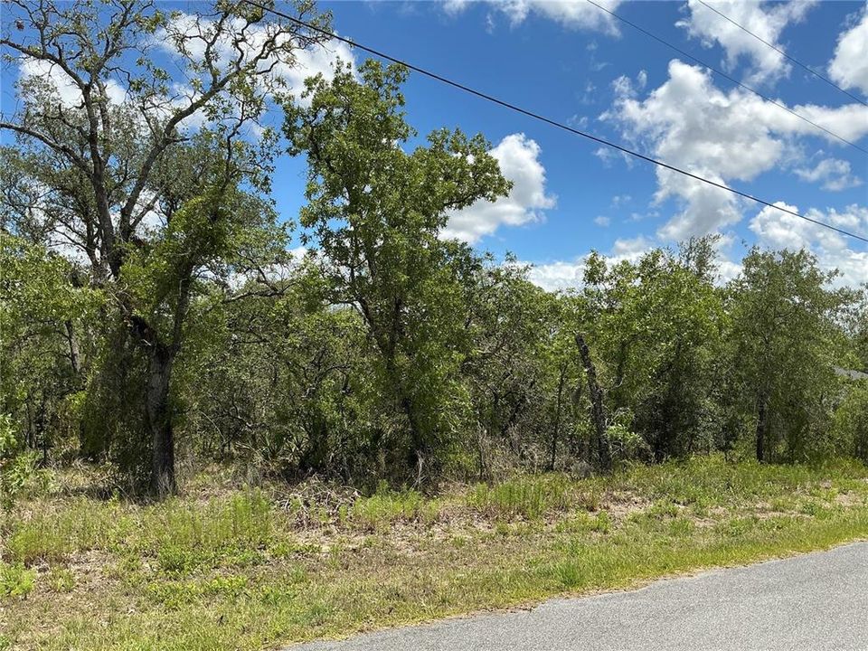 На продажу: $47,000 (0.46 acres)