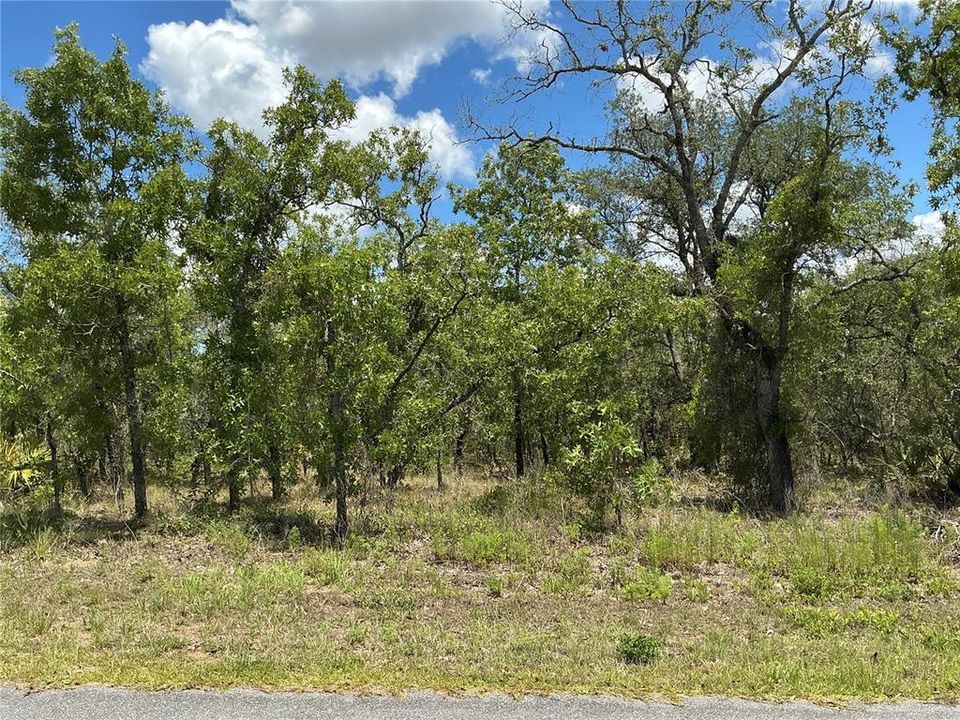 На продажу: $47,000 (0.46 acres)