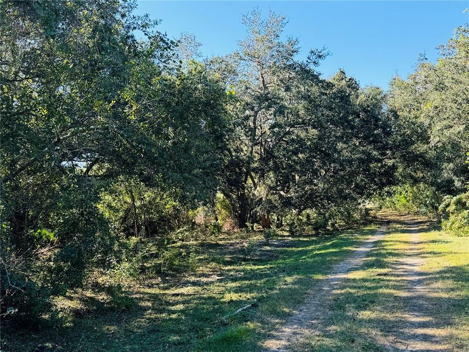 For Sale: $3,780,000 (180.00 acres)