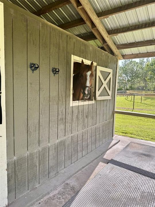 Activo con contrato: $1,200,000 (3 camas, 2 baños, 2566 Pies cuadrados)