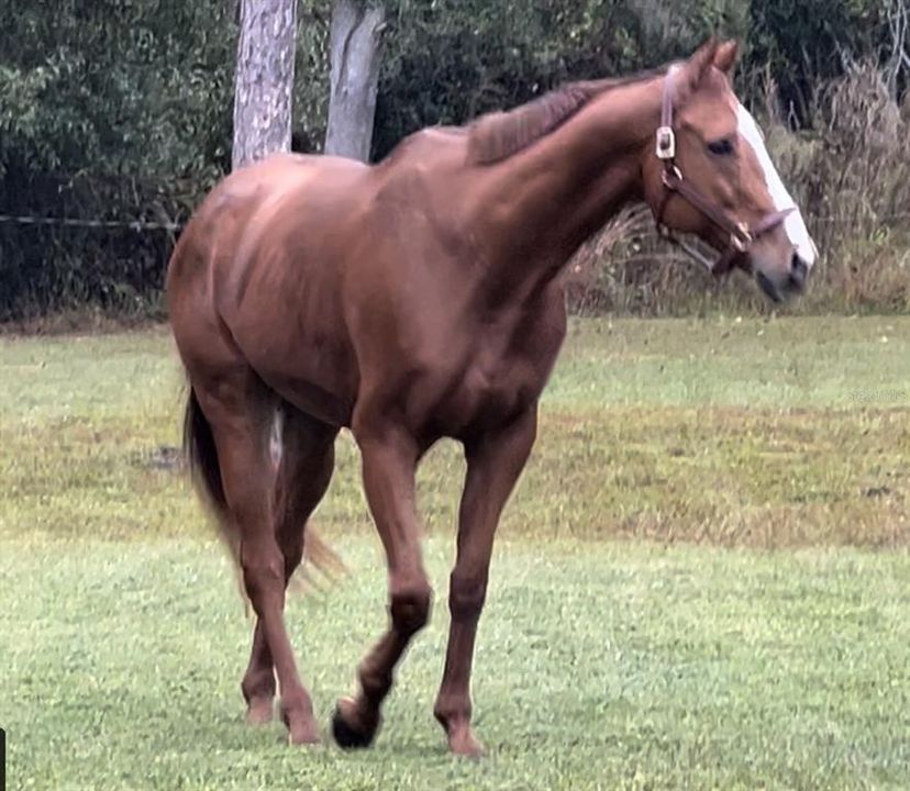 Activo con contrato: $1,200,000 (3 camas, 2 baños, 2566 Pies cuadrados)