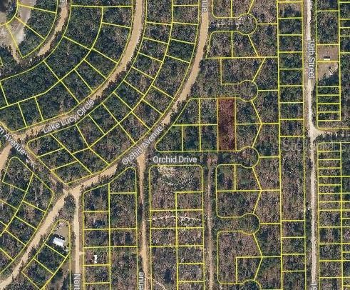 En Venta: $19,000 (0.49 acres)