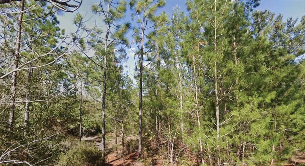 En Venta: $19,000 (0.49 acres)