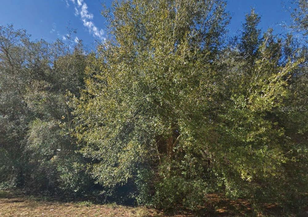 For Sale: $19,000 (0.22 acres)