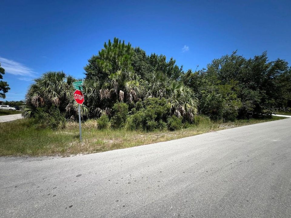 待售: $68,000 (0.29 acres)