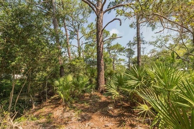 For Sale: $224,900 (2.88 acres)