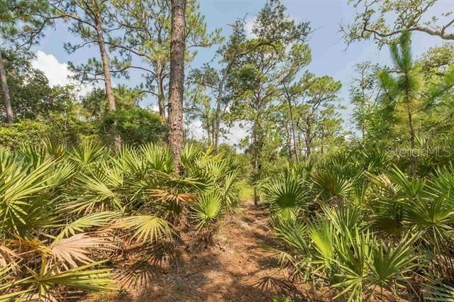 For Sale: $224,900 (2.88 acres)