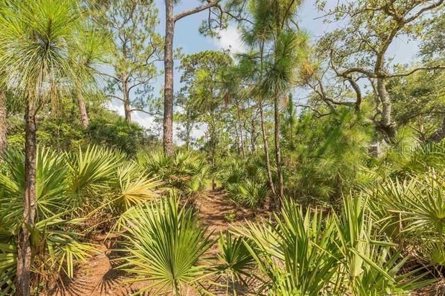 For Sale: $224,900 (2.88 acres)