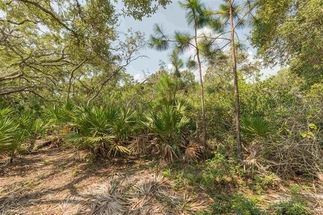 For Sale: $224,900 (2.88 acres)