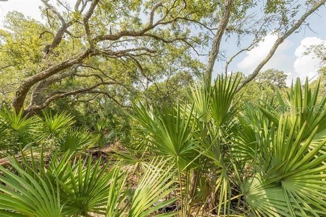 For Sale: $224,900 (2.88 acres)