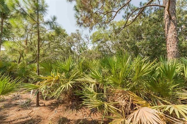 For Sale: $224,900 (2.88 acres)