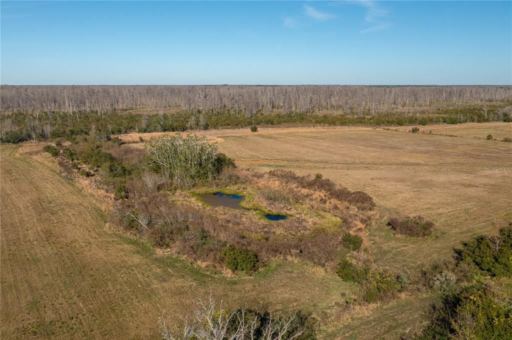 待售: $1,200,000 (23.88 acres)