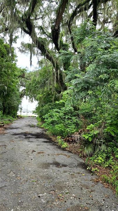 For Sale: $375,000 (0.81 acres)