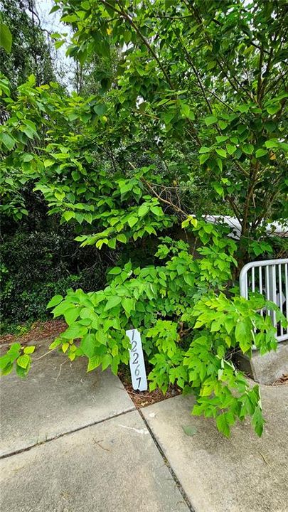 For Sale: $375,000 (0.81 acres)