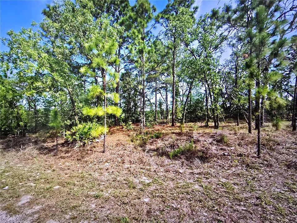 待售: $13,499 (0.23 acres)