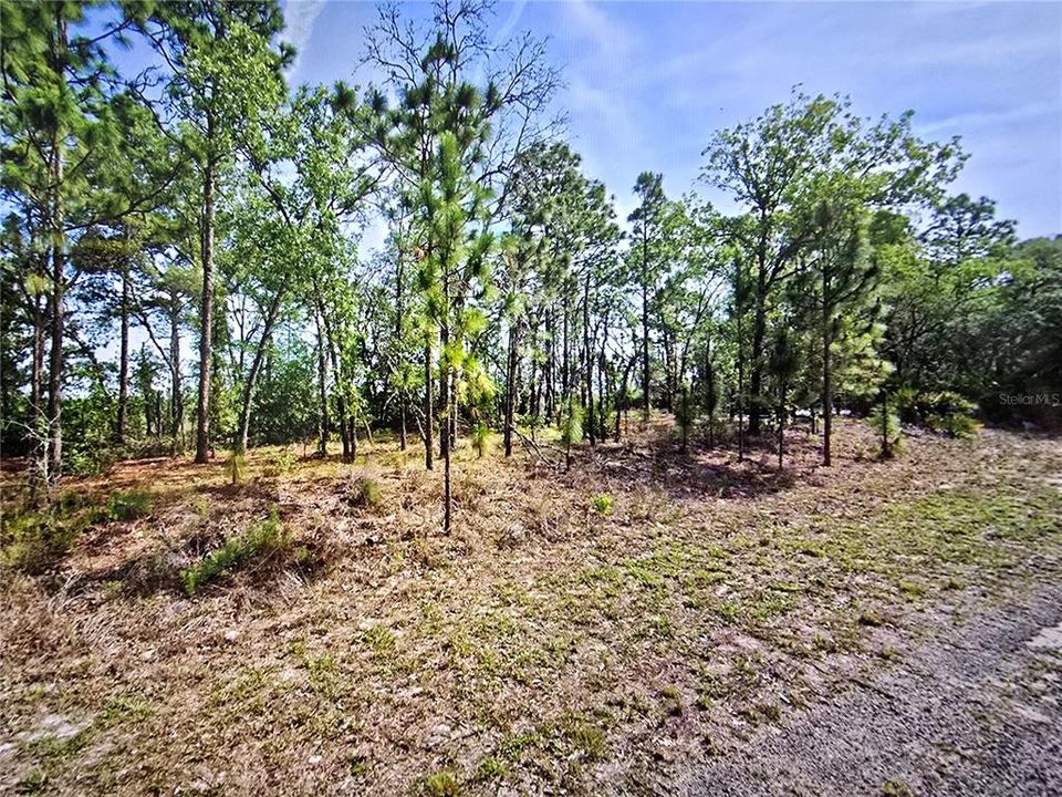 待售: $13,499 (0.23 acres)