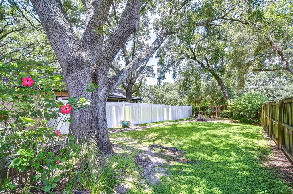 For Sale: $535,000 (5 beds, 3 baths, 2880 Square Feet)