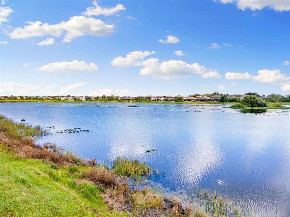 For Sale: $679,900 (5 beds, 4 baths, 3606 Square Feet)