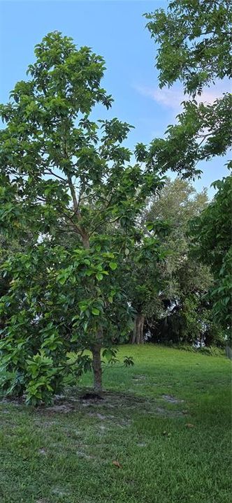 For Sale: $595,000 (3 beds, 2 baths, 3208 Square Feet)