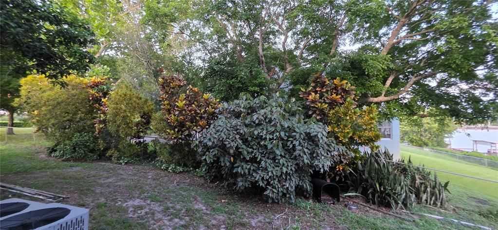 For Sale: $595,000 (3 beds, 2 baths, 3208 Square Feet)