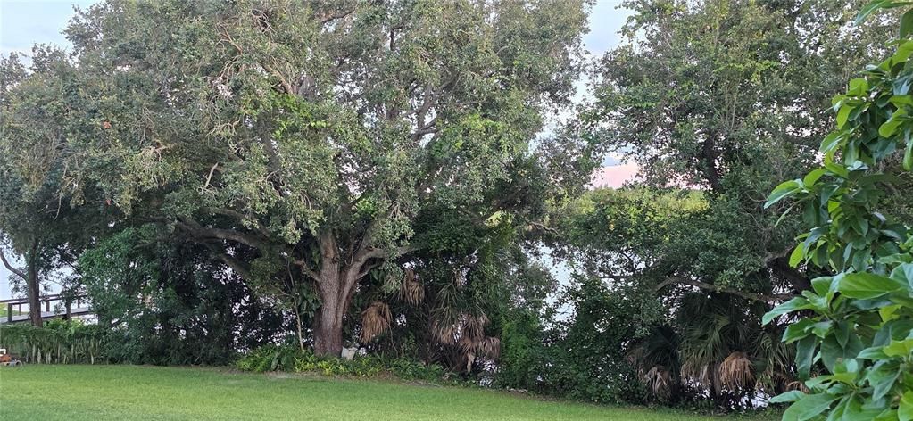 For Sale: $595,000 (3 beds, 2 baths, 3208 Square Feet)