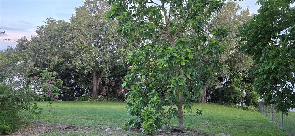 For Sale: $595,000 (3 beds, 2 baths, 3208 Square Feet)